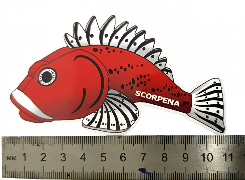 Размер наклейки «Scorpena» - около 11х6см.