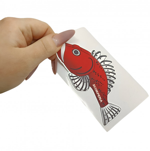 Виниловая пленка + ламинированное покрытие = тандем, которому не страшны ни соленая морская вода (даже если вы ныряете в Мертвом море), ни палящее солнце (ультрафиолет отступает с позором), ни случайные царапины (снаряжение живет активной жизнью, и наклейки - вместе с ним).