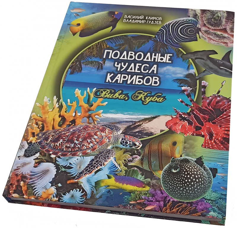 Погрузитесь в завораживающий и таинственный Карибского моря вместе с книгой «Подводные чудеса Карибов».
