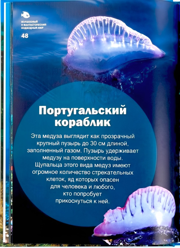 Эта красочная энциклопедия откроет перед юными исследователями и их родителями невероятные тайны Мирового океана - огромной неизведанной вселенной прямо у нас под боком.