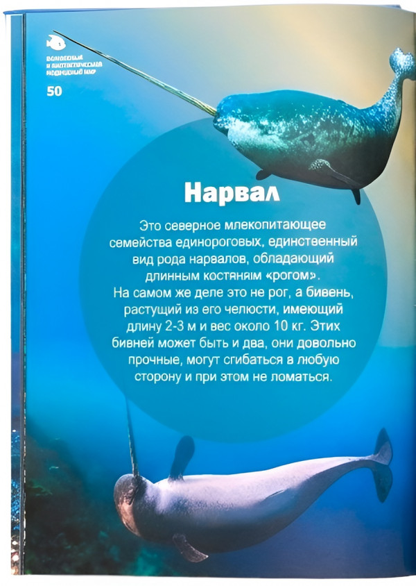 Вы узнаете о самых необычных и порой почти сказочных обитателях морей и океанов: от крошечных существ, которых почти невозможно разглядеть, до величественных жителей бездонных глубин.