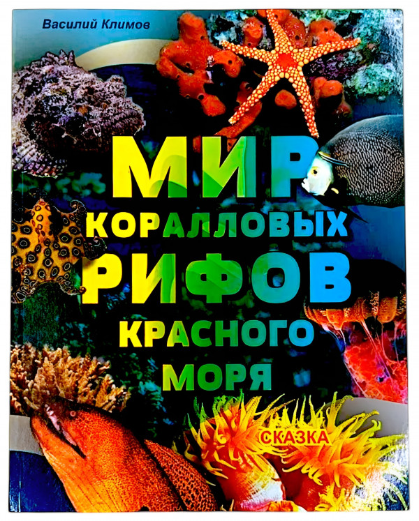 Книга «Мир коралловых рифов Красного моря» - ваш персональный билет в один из самых живописных уголков планеты. И самое приятное: не придется паковать чемодан, переживать из‑за акклиматизации или гадать, хватит ли запаса воздуха в баллоне.