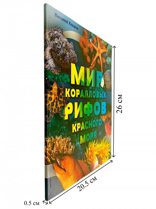 Длина книги - 26см, ширина книги - 20.5см, толщина - 0.5см.