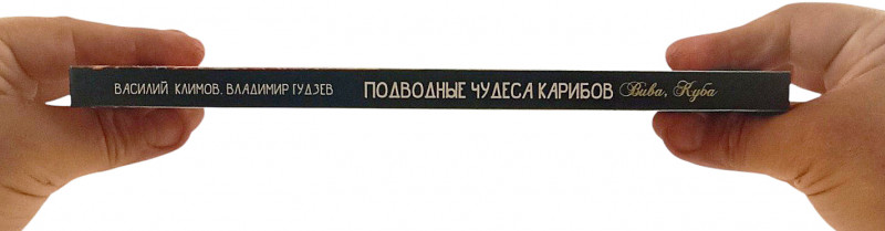 Отличный подарок себе или увлеченному водой товарищу!