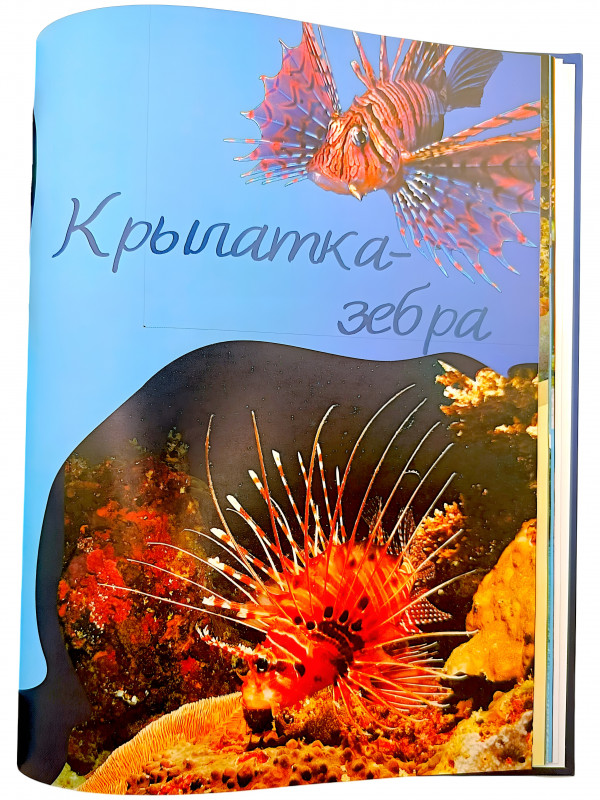 В книге Василия Климова «Очарованные Мальдивы» - не просто сухие факты и скучные цифры, а настоящая ода красоте архипелага. Автор бережно собирает яркие детали воедино.