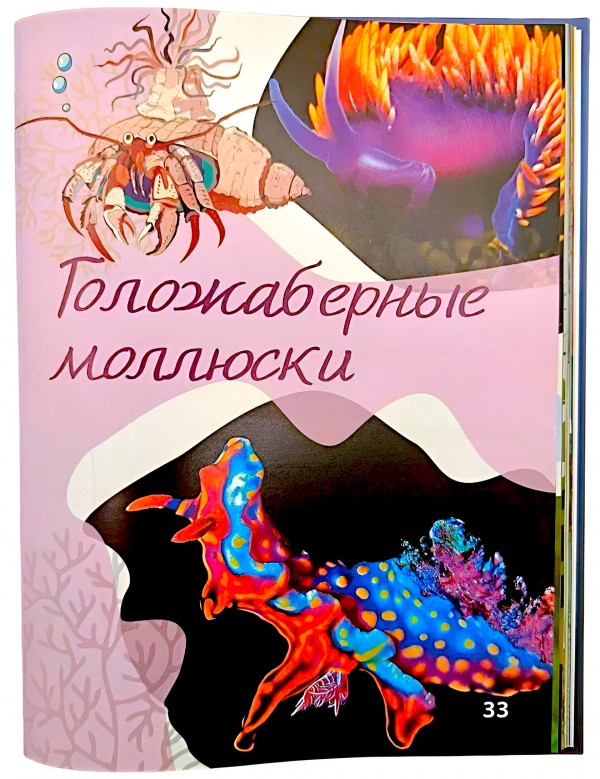 Вы узнаете не только про самые живописные атоллы, но и про то, как устроена жизнь на островах, какие тайны хранят коралловые рифы и почему даже обычный закат здесь выглядит как маленькое чудо.