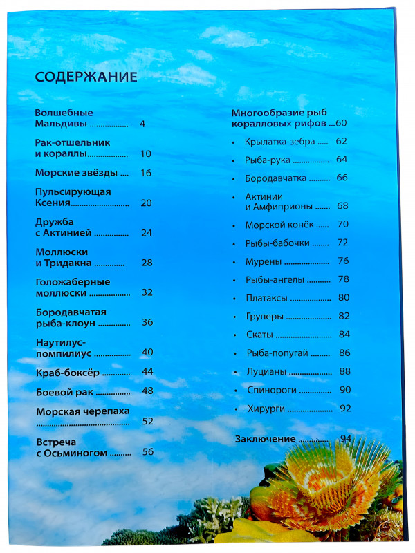Это не путеводитель в строгом смысле слова, а скорее приглашение замедлиться и посмотреть на мир чуть внимательнее.