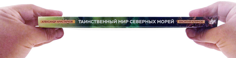 Отличный подарок себе или увлеченному водой товарищу!