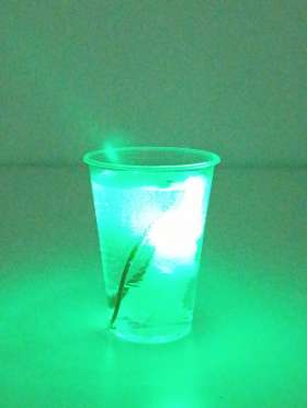 увеличить фото №7