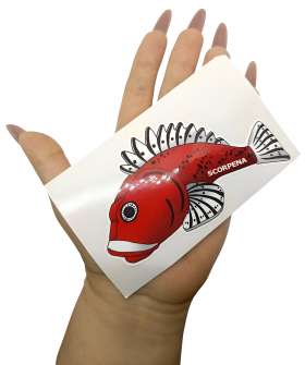 увеличить фото №10