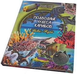 Погрузитесь в завораживающий и таинственный Карибского моря вместе с книгой «Подводные чудеса Карибов».
