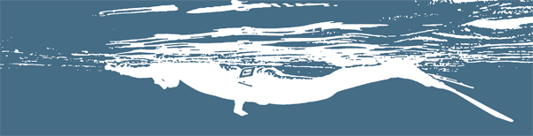 b_freediving_7.png